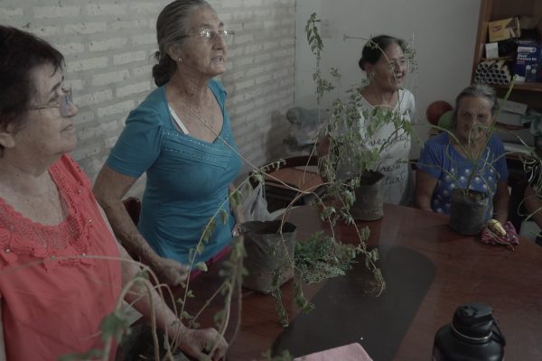 455063230_892883306215050_8491326512440087229_n