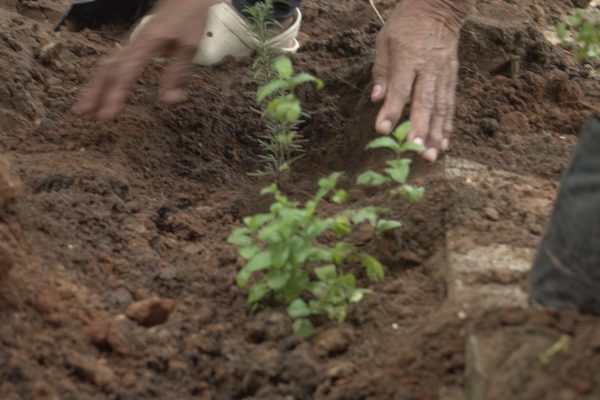 455319266_892883516215029_3329642808250485824_n